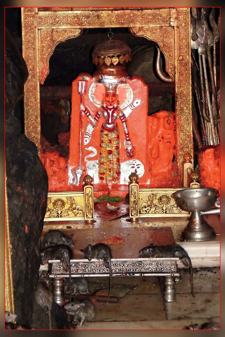Karni Mata Temple